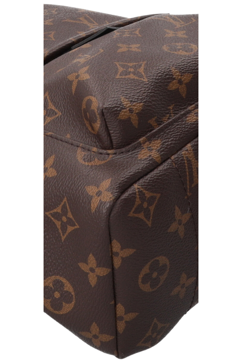 LOUIS VUITTON Palm Springs Backpack PM MNG Canvas