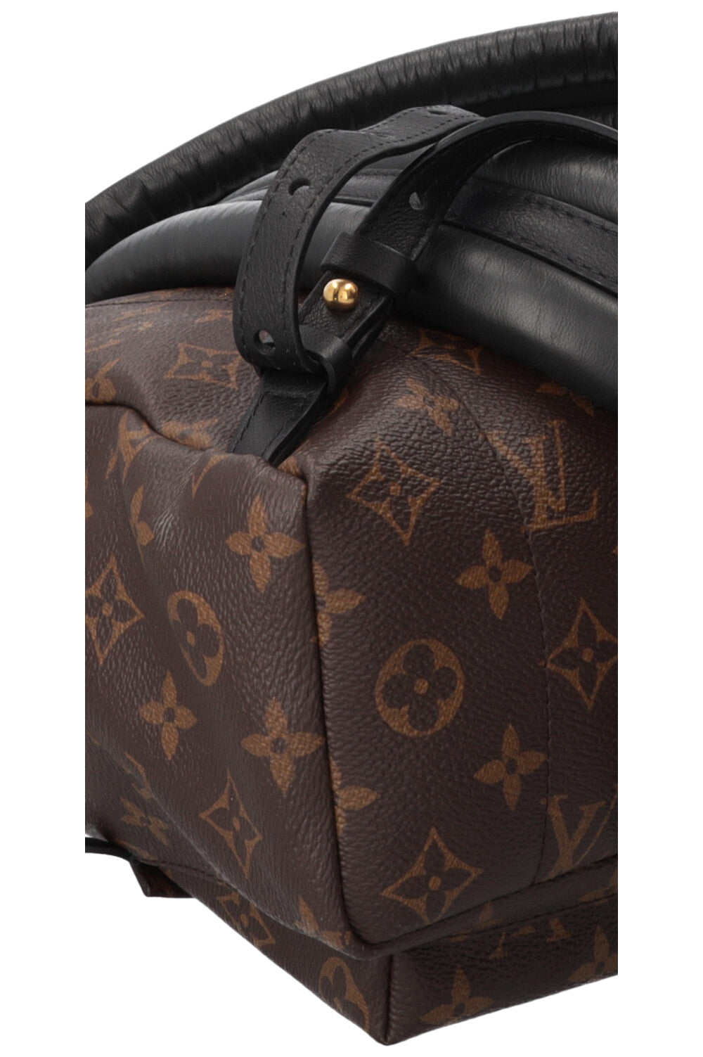 LOUIS VUITTON Palm Springs Backpack PM MNG Canvas