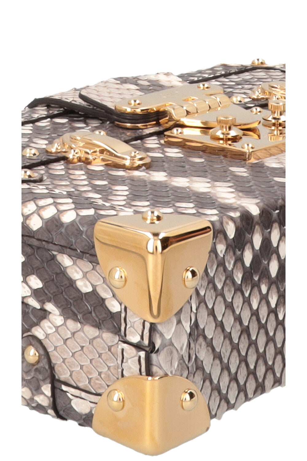 LOUIS VUITTON Petite Malle Crossbody Bag Python Grey