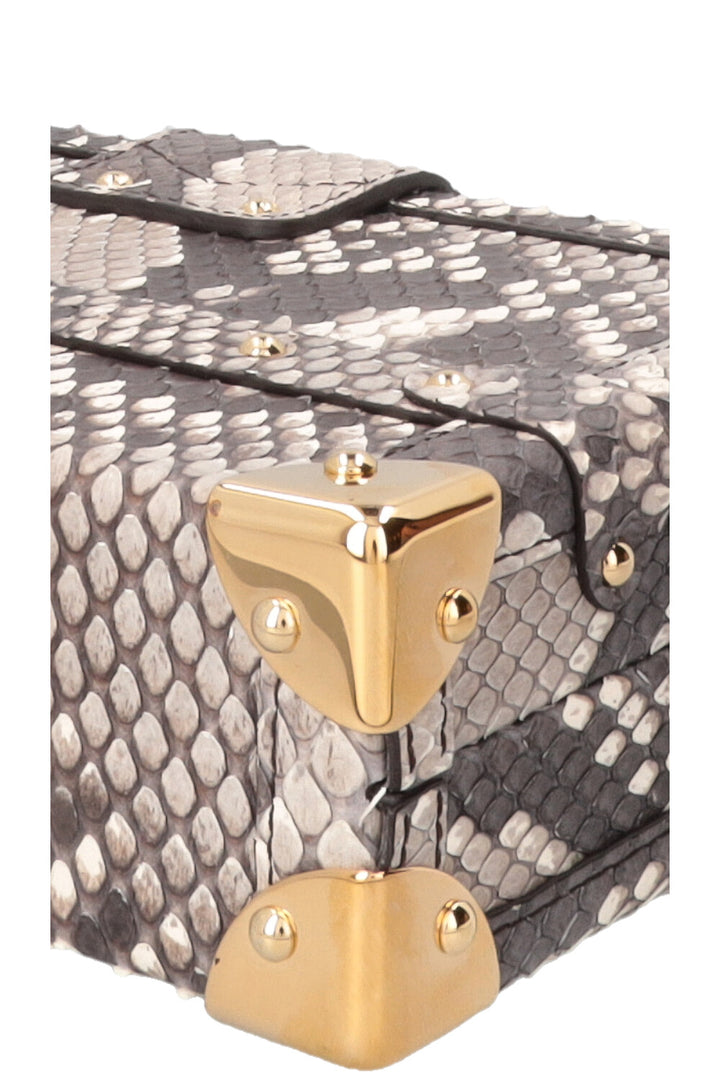 LOUIS VUITTON Petite Malle Crossbody Bag Python Grey