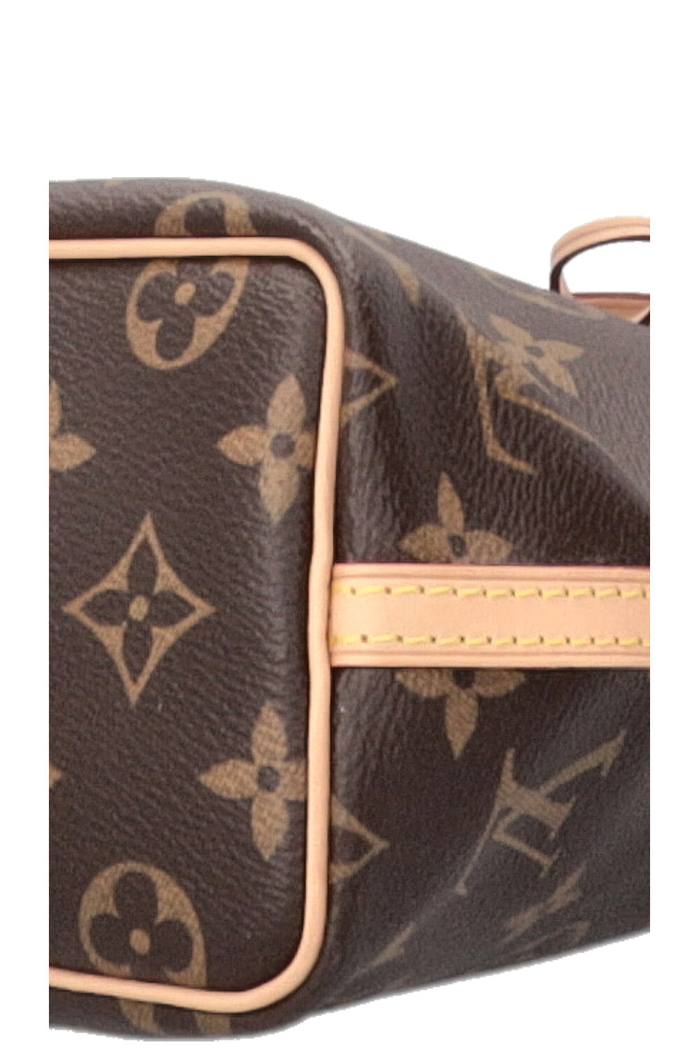LOUIS VUITTON Nano Noé MNG Canvas Brown