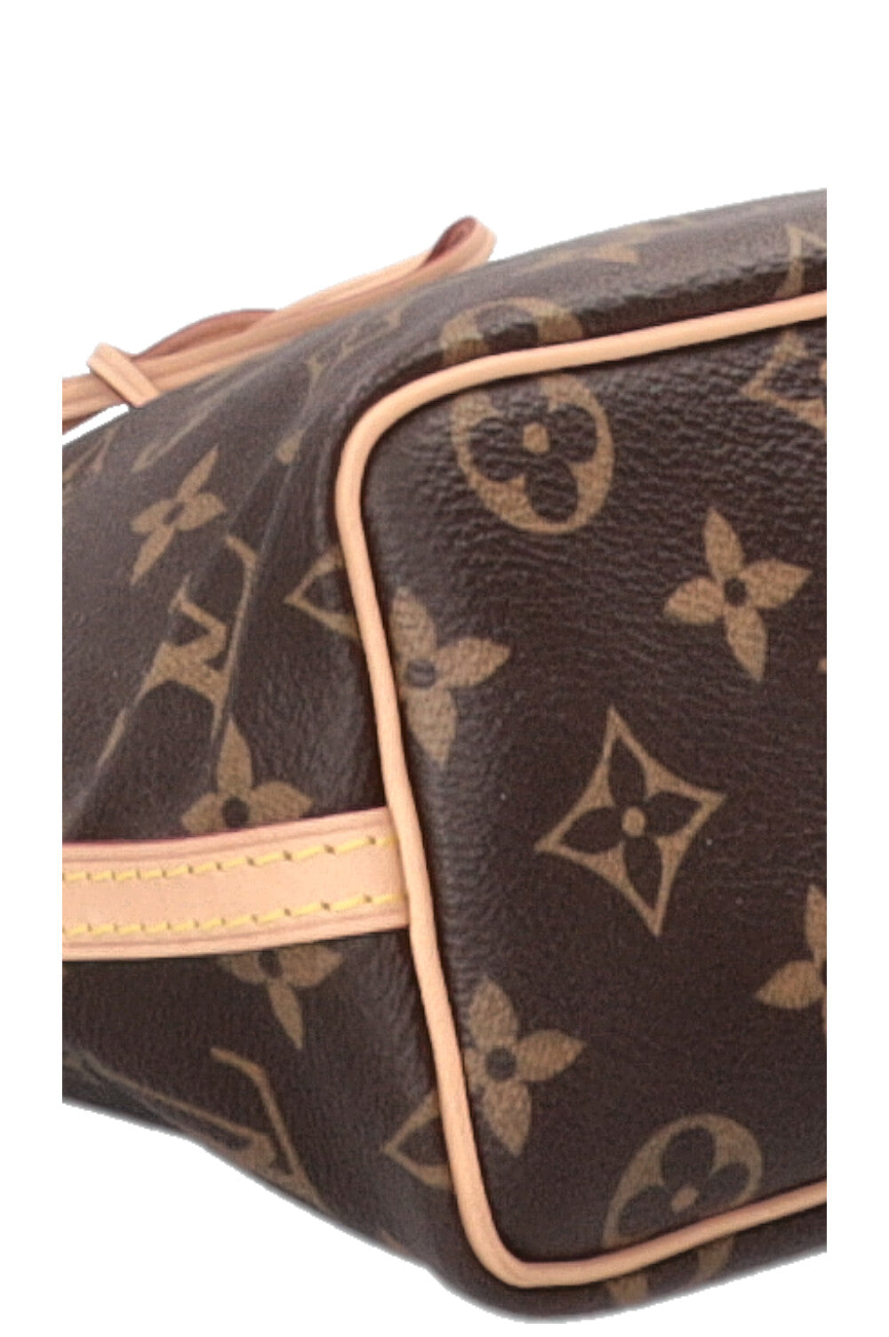LOUIS VUITTON Nano Noé MNG Canvas Brown