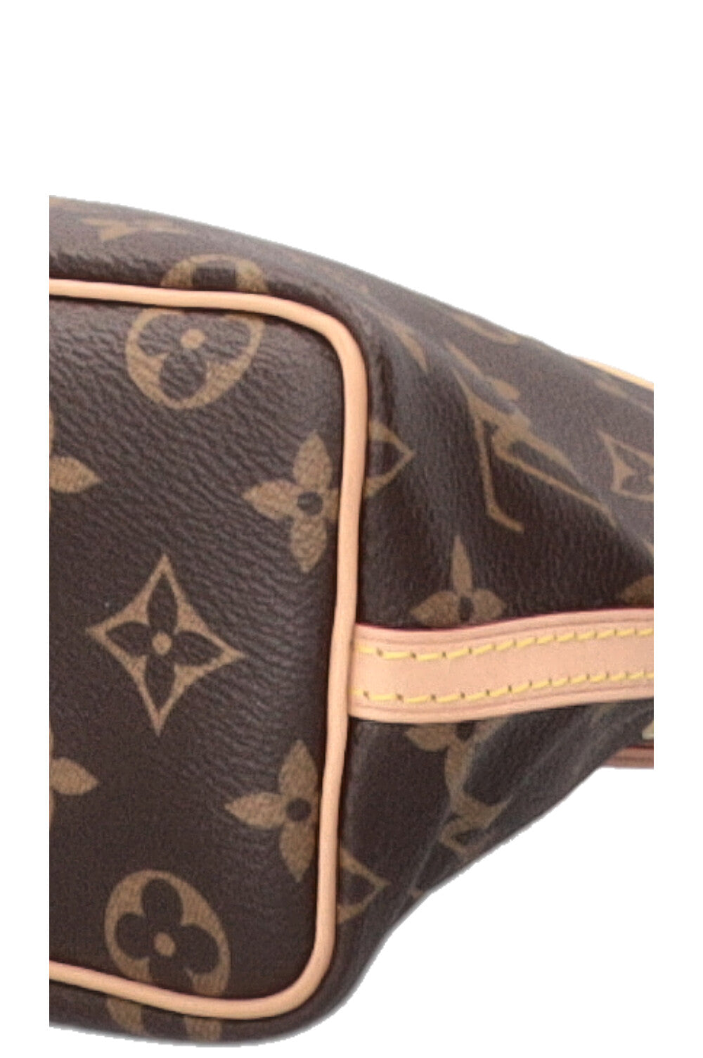 LOUIS VUITTON Nano Noé MNG Canvas Brown