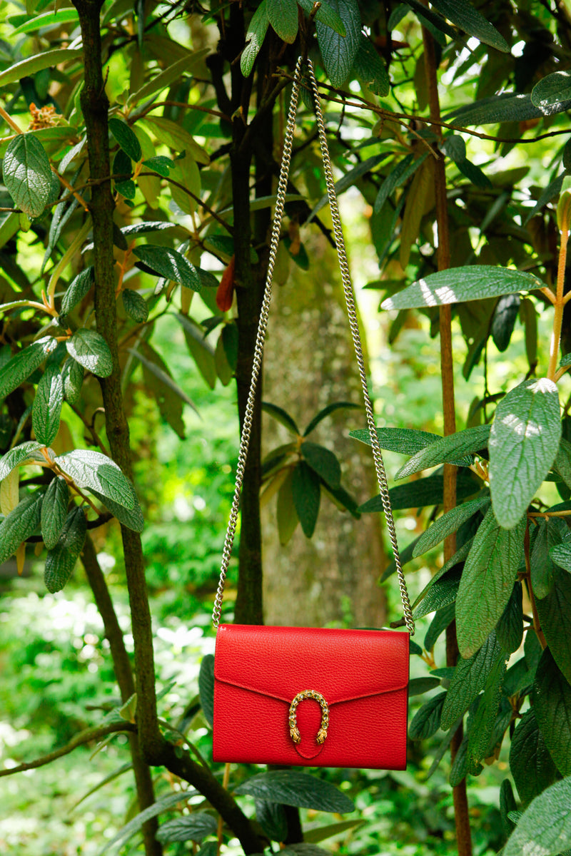 GUCCI Mini Dionysus WOC Red