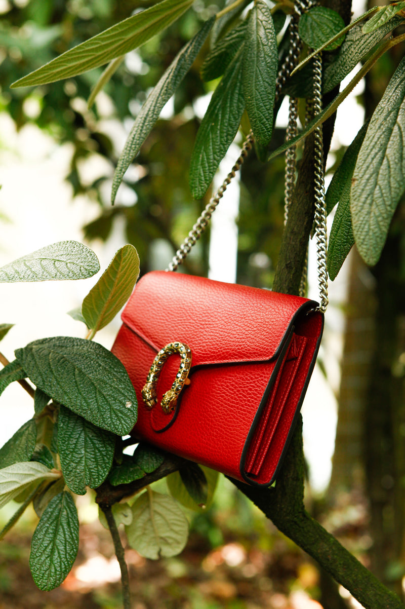 GUCCI Mini Dionysus WOC Red