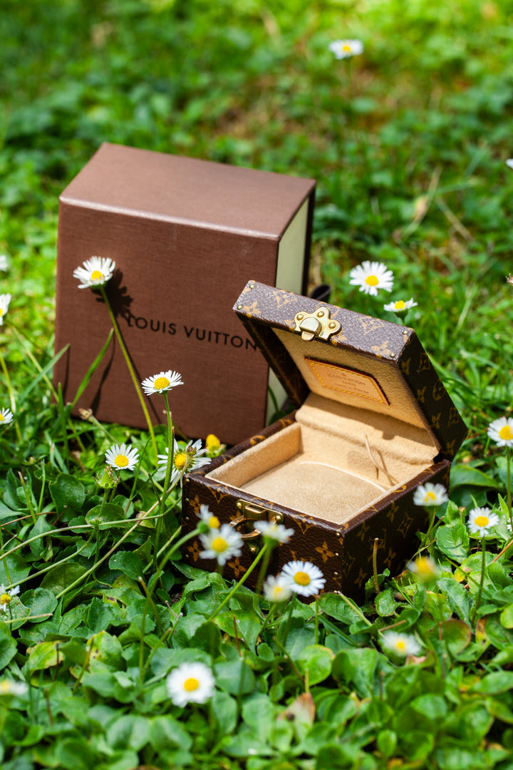LOUIS VUITTON Mini Jewelry Trunk MNG