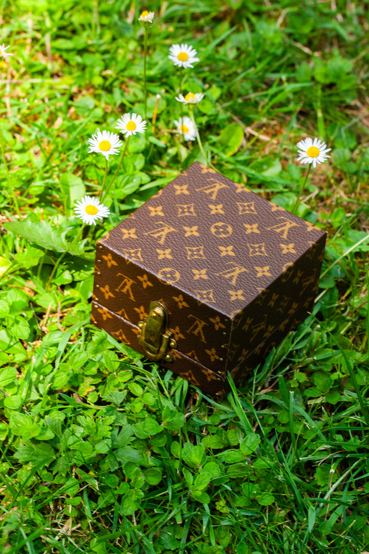 LOUIS VUITTON Mini Jewelry Trunk MNG