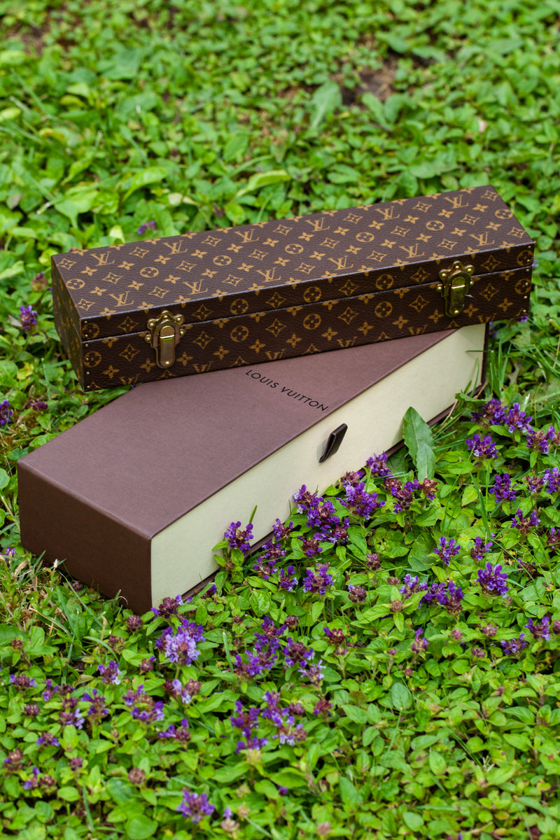 LOUIS VUITTON Jewelry Trunk with Straps MNG