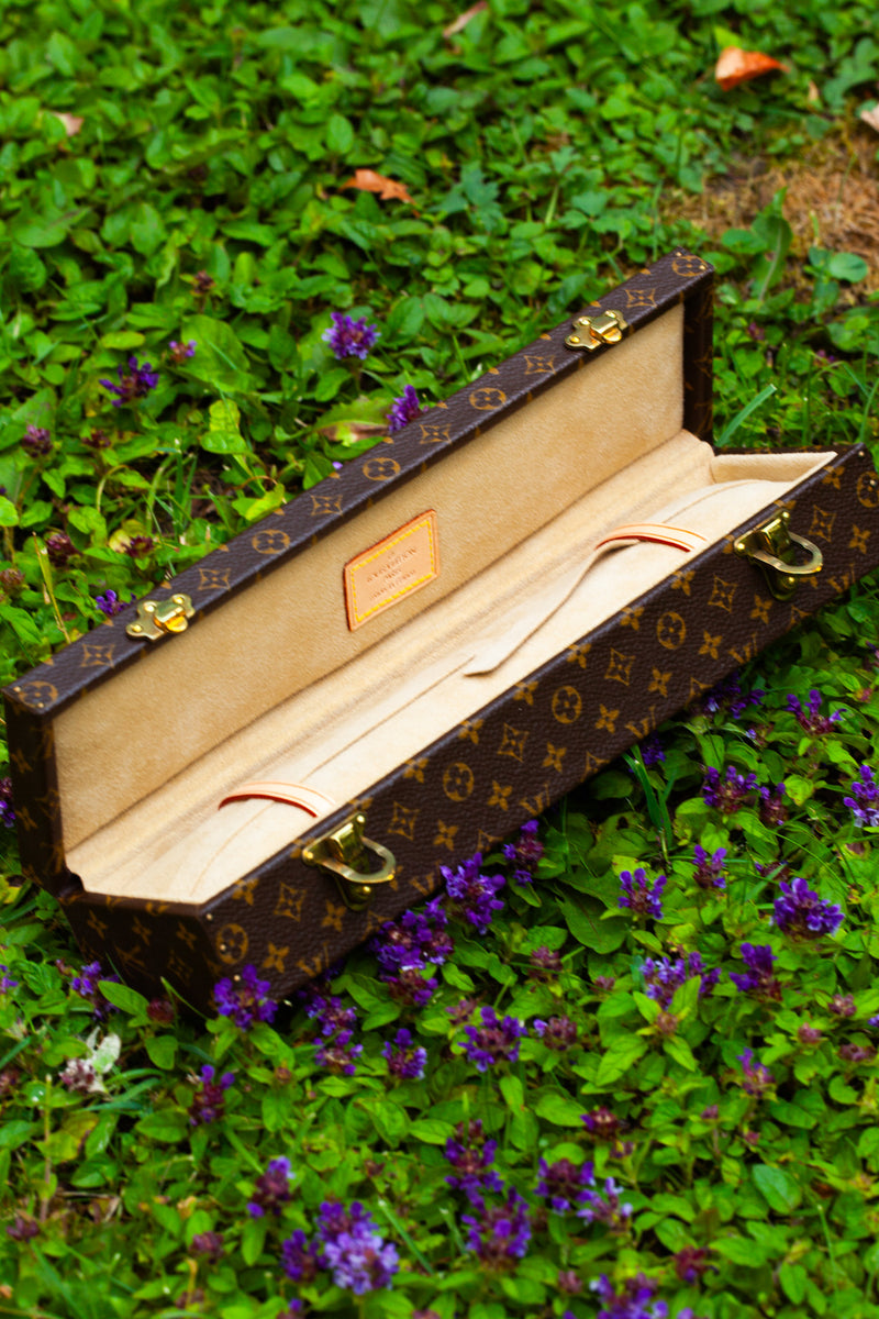 LOUIS VUITTON Jewelry Trunk with Straps MNG