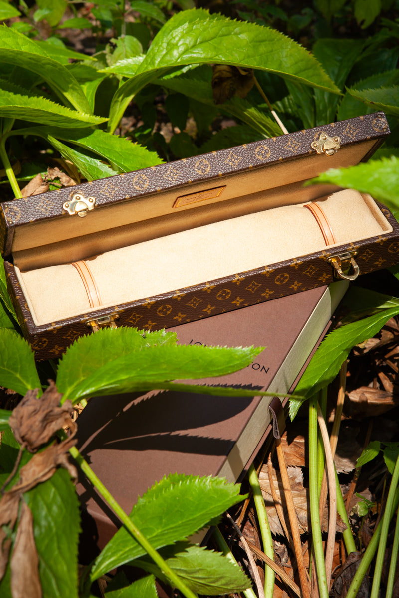LOUIS VUITTON Jewelry Trunk MNG