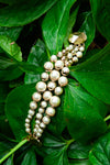 CHRISTIAN DIOR Mise en Dior Bracelet