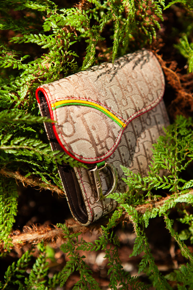CHRISTIAN DIOR Vintage Saddle Wallet Rasta Diorissimo Brown