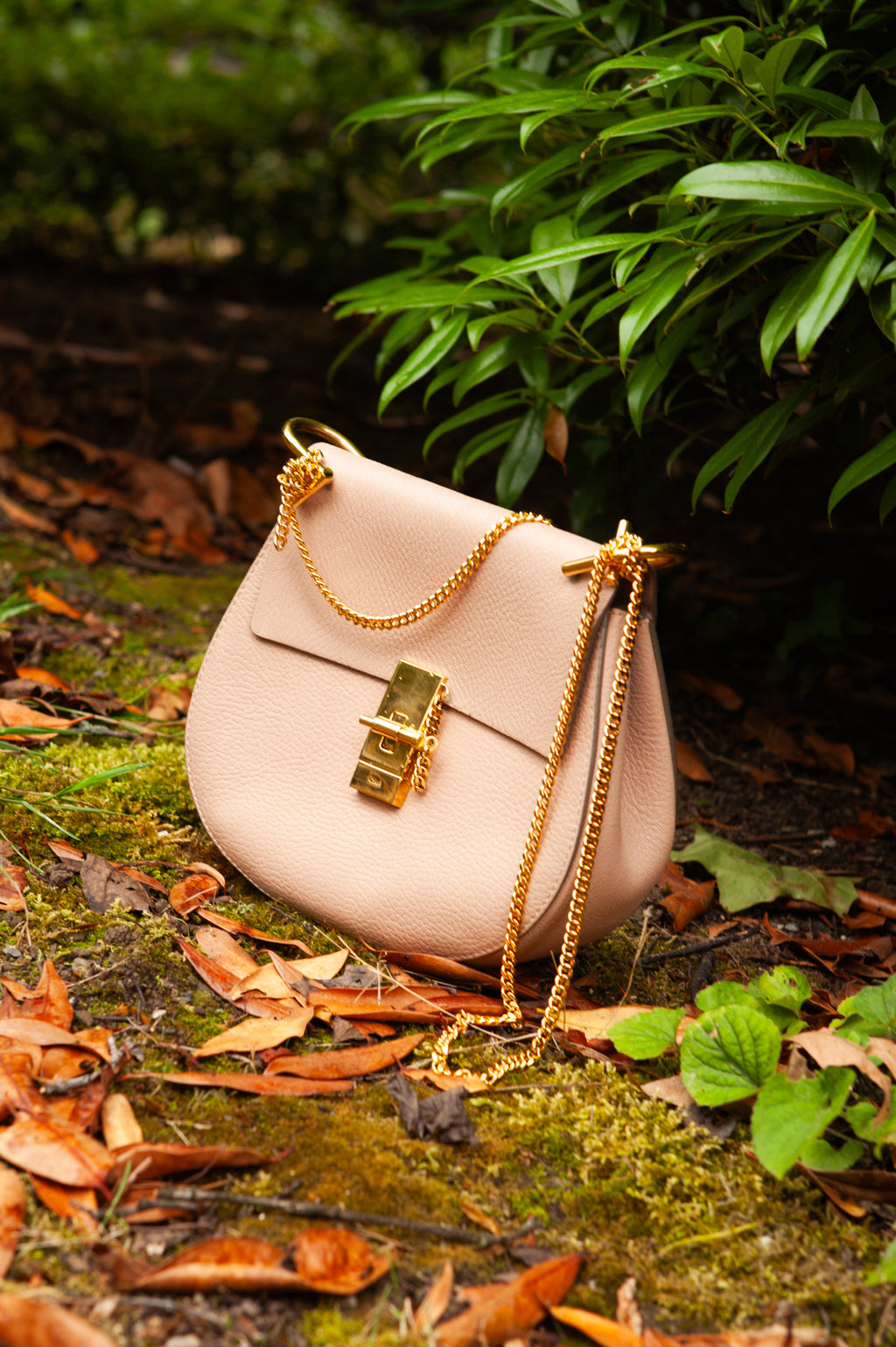 CHLOÉ Drew Crossbody Bag Powder