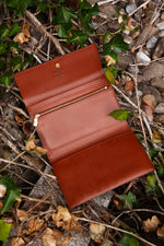 LOUIS VUITTON Travel Wallet MNG