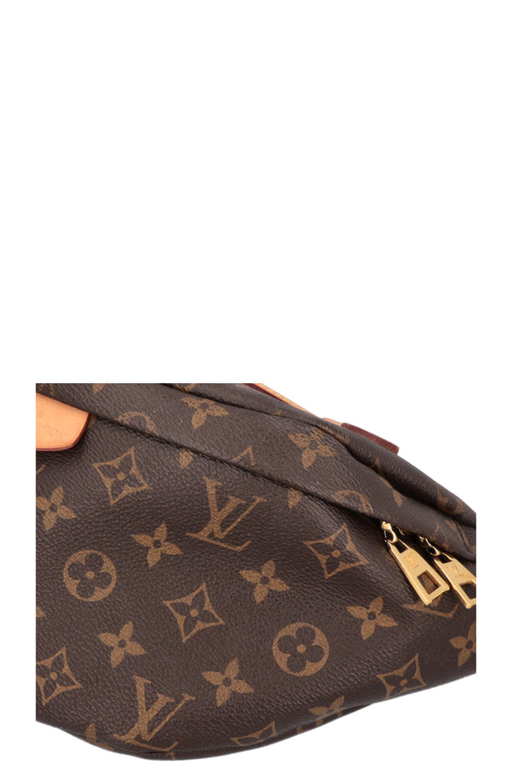 LOUIS VUITTON Bum Bag MNG Canvas