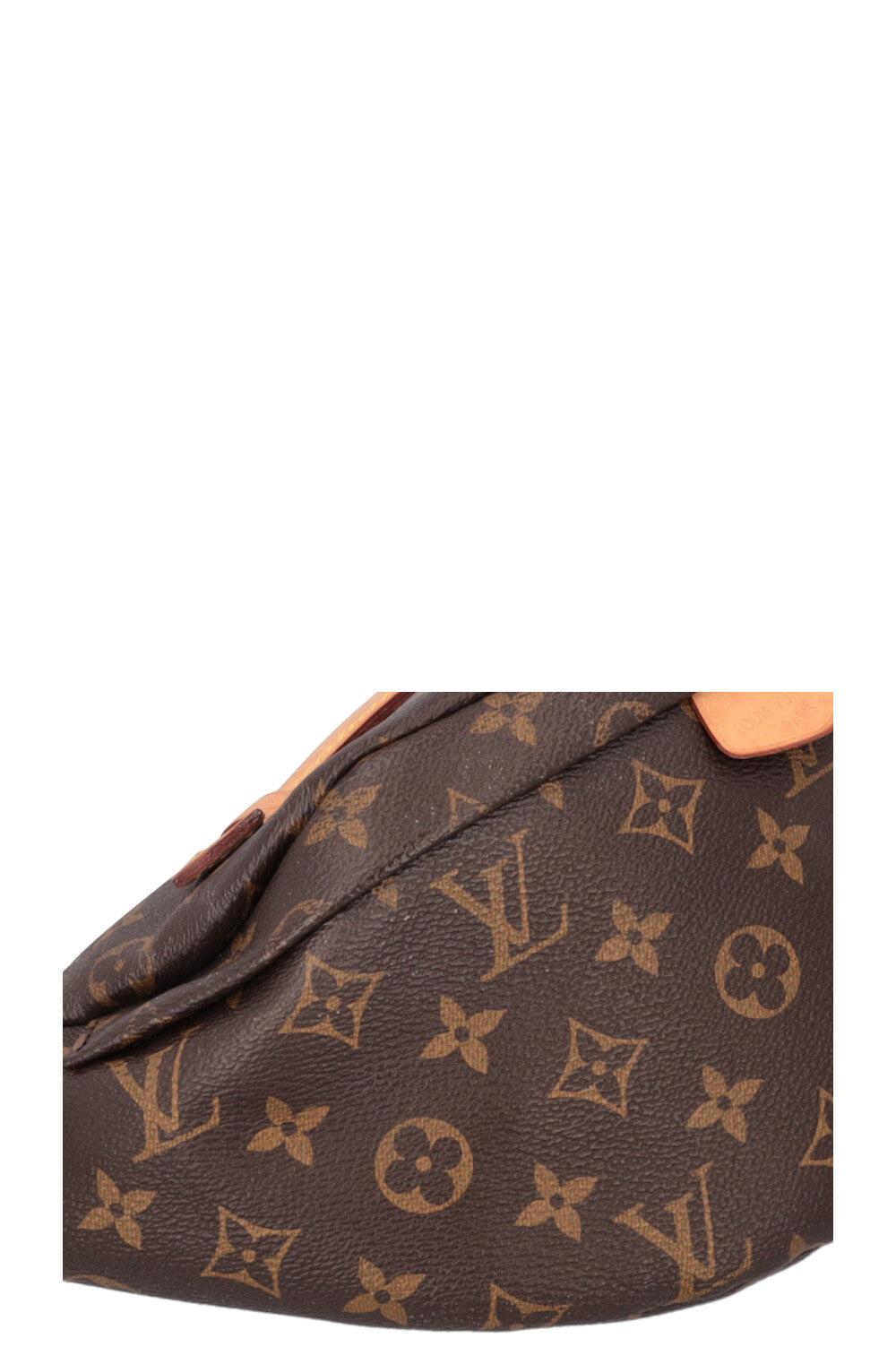 LOUIS VUITTON Bum Bag MNG Canvas