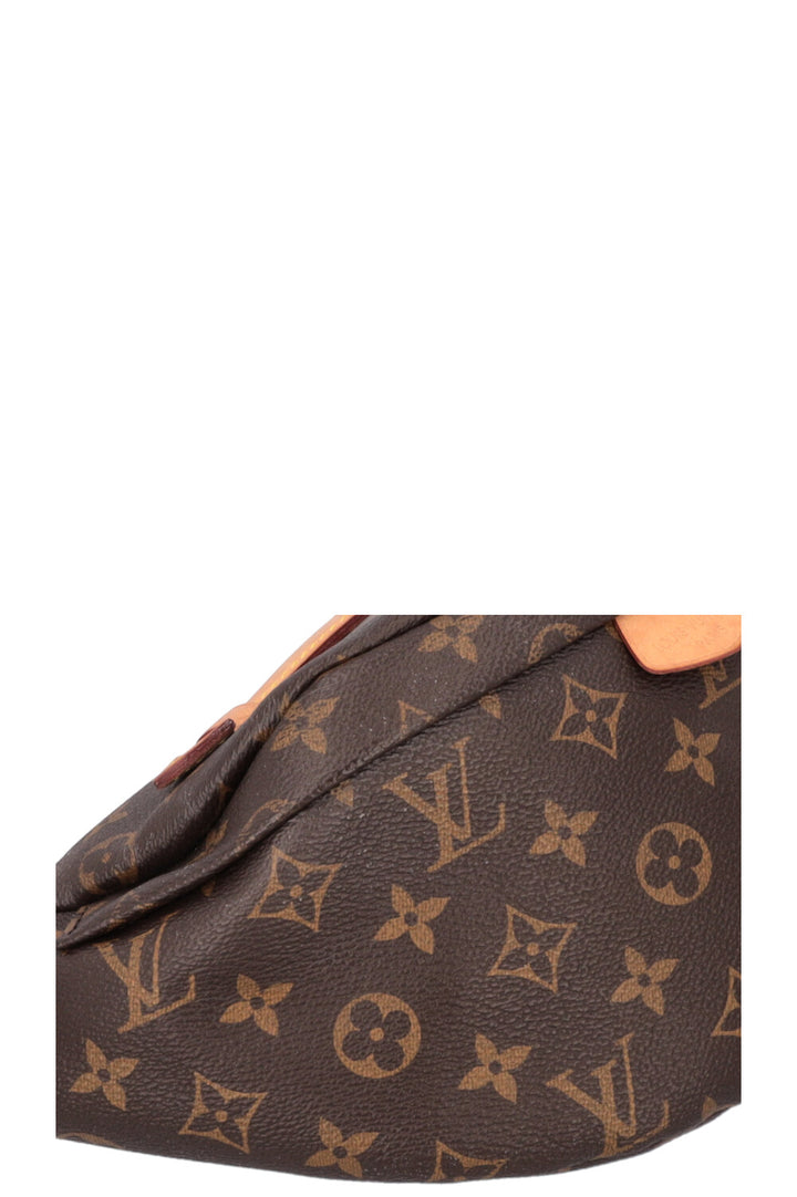 LOUIS VUITTON Bum Bag MNG Canvas
