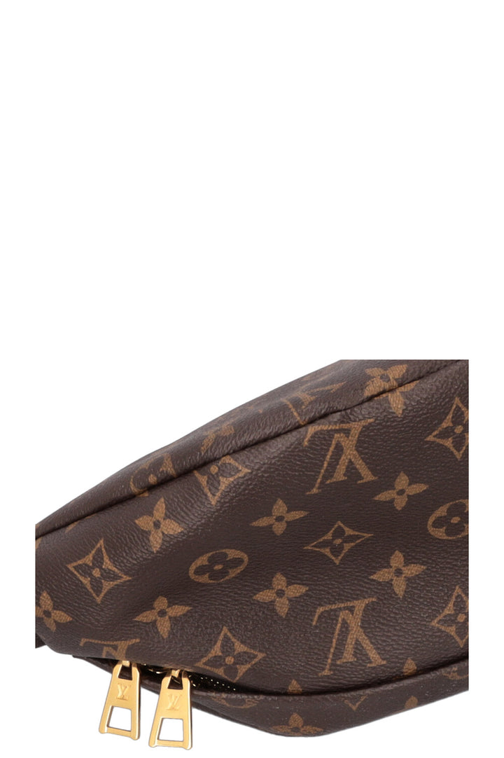 LOUIS VUITTON Bum Bag MNG Canvas