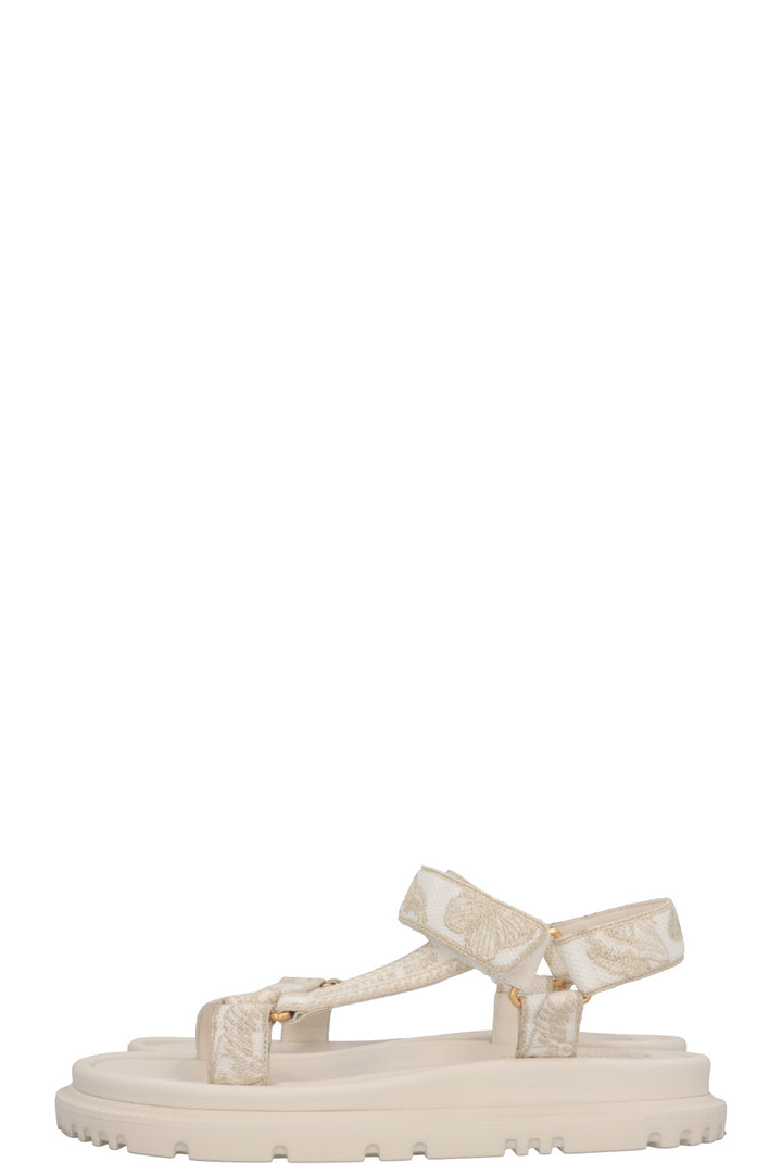 CHRISTIAN DIOR Toile De Jouy D-Wave Flats White Gold
