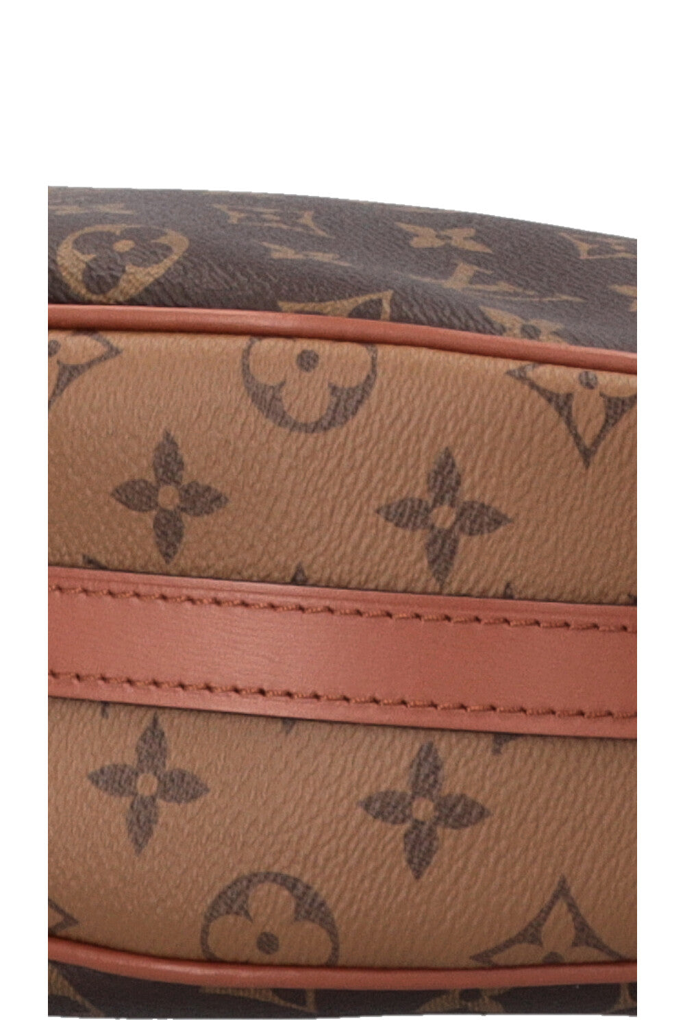 LOUIS VUITTON Loop Hobo Bag MNG Reverse