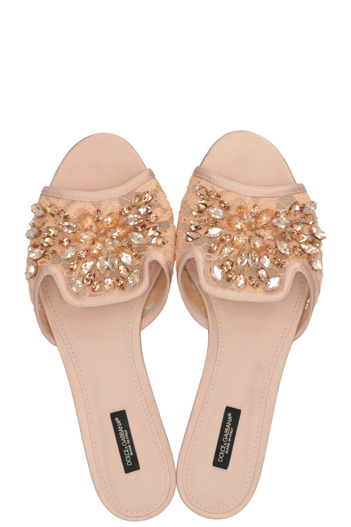 DOLCE&GABBANA Sandales Bianca Rainbow Lace avec broche Rose poudré