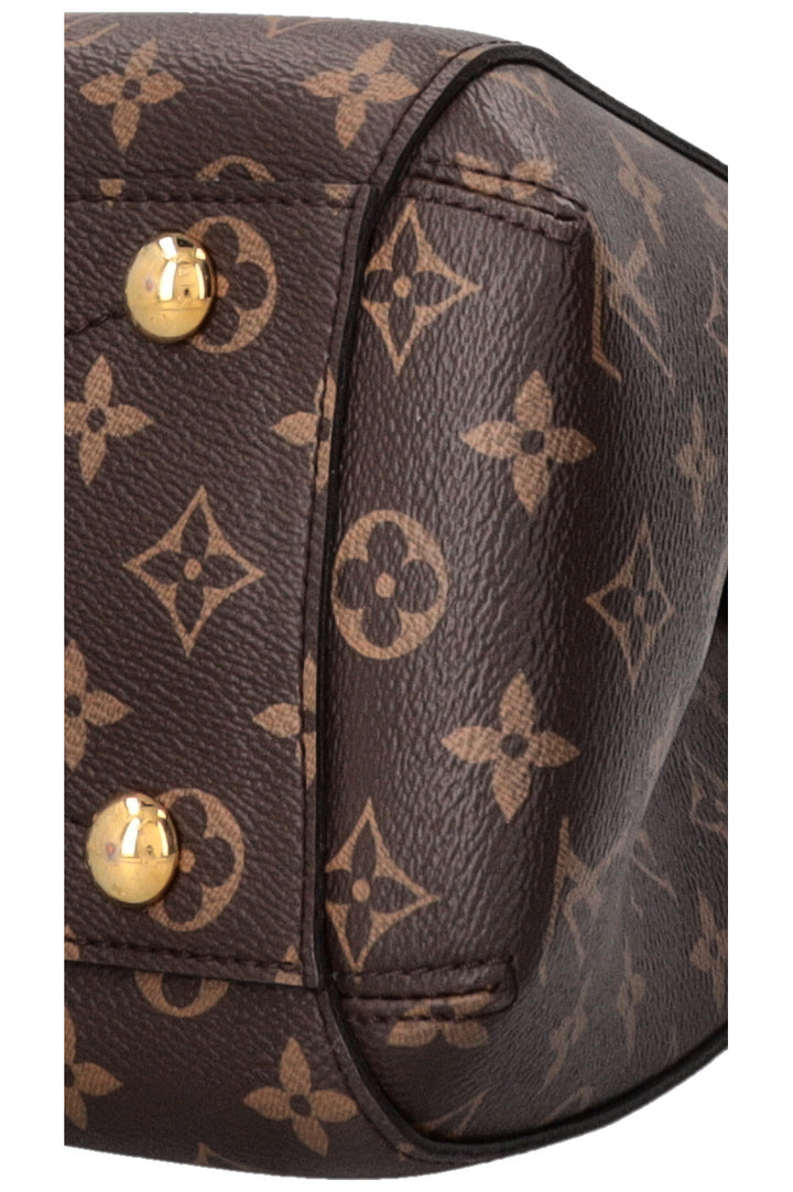 LOUIS VUITTON Sac Montaigne MM Toile Monogram