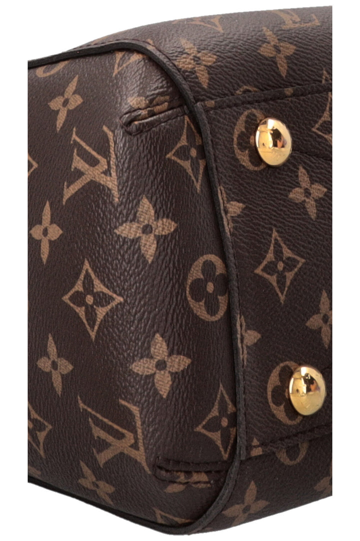 LOUIS VUITTON Sac Montaigne MM Toile Monogram