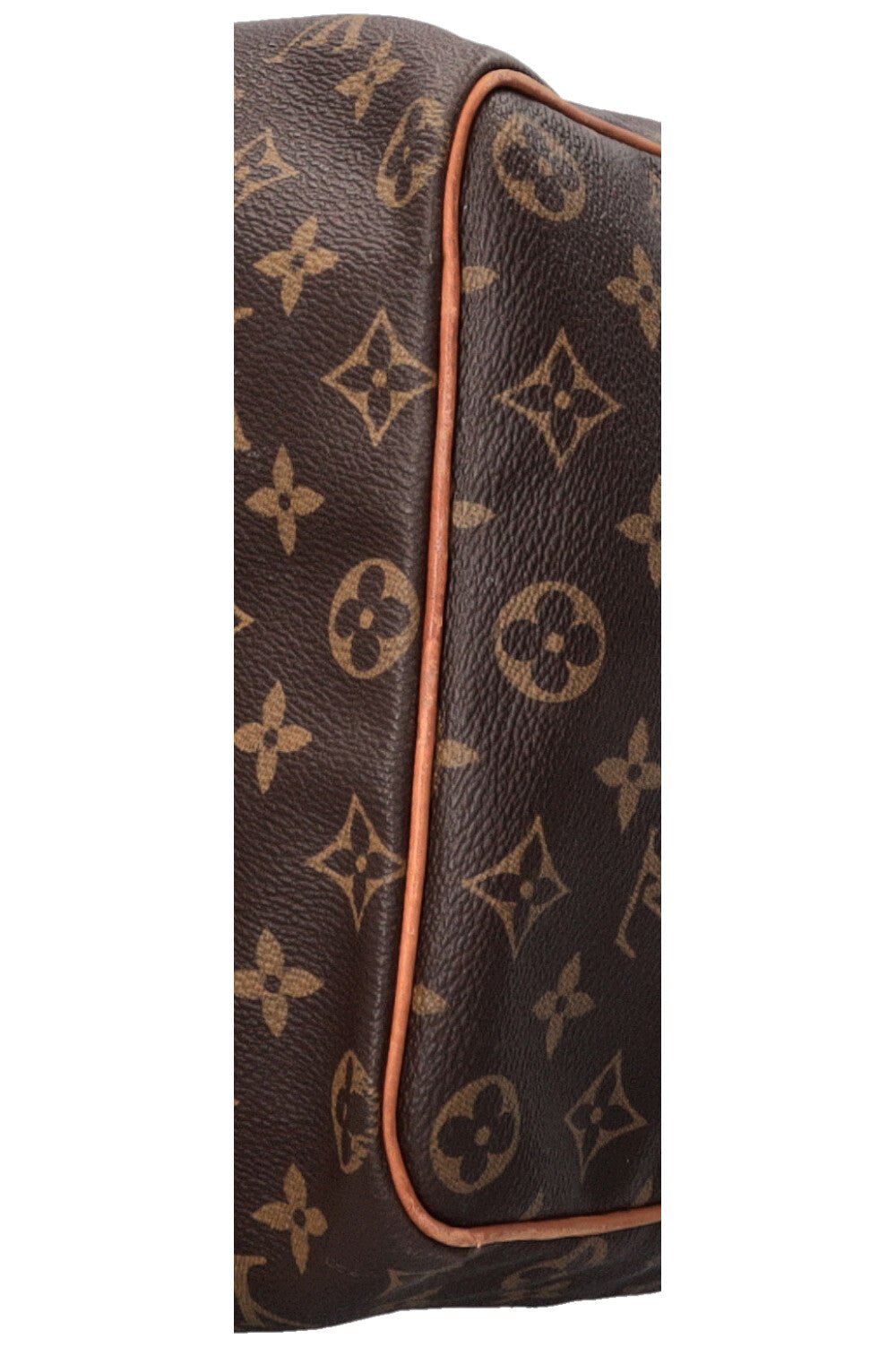 LOUIS VUITTON Speedy 40 MNG