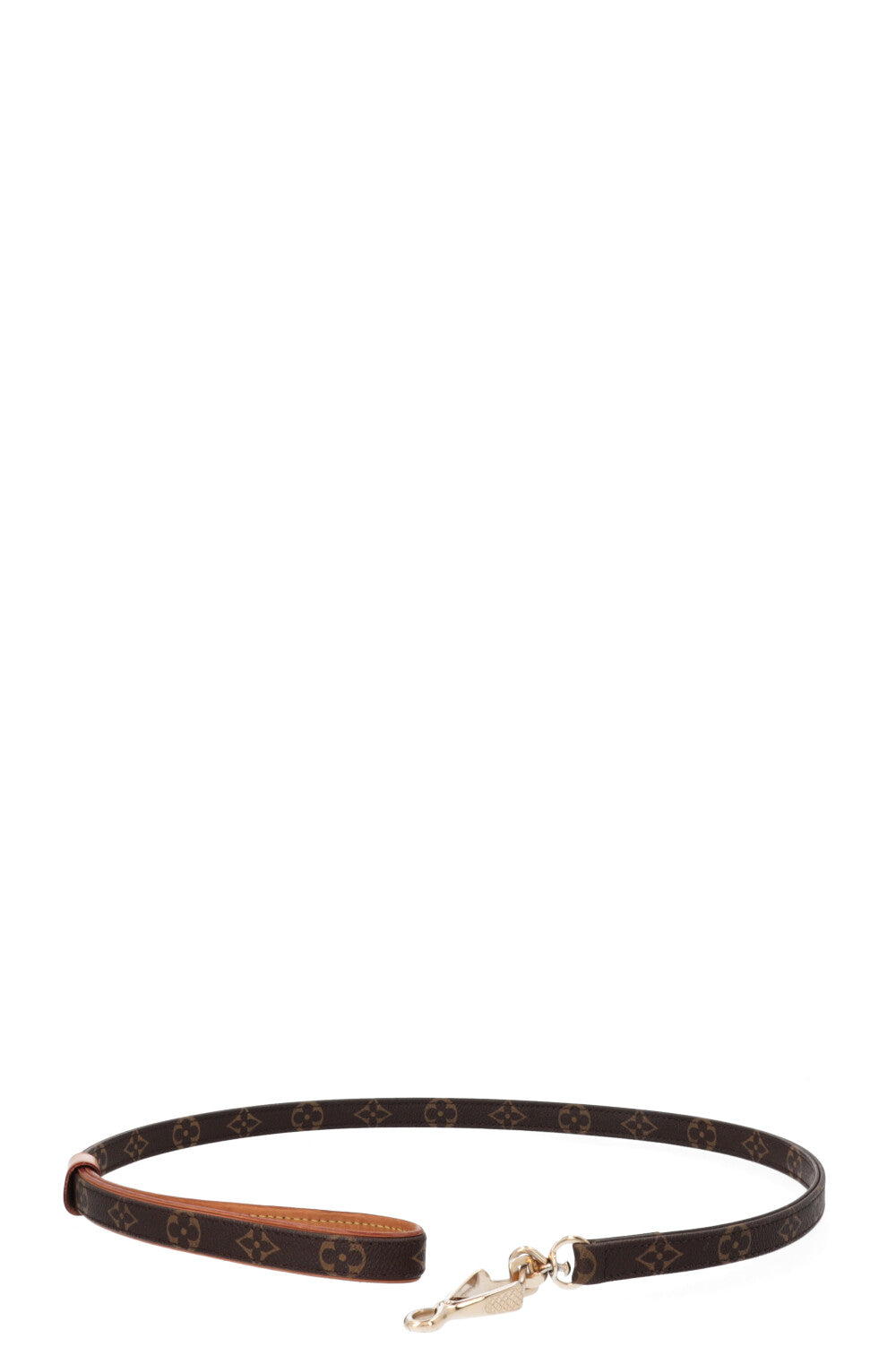 LOUIS VUITTON Baxter Dog Leash MNG