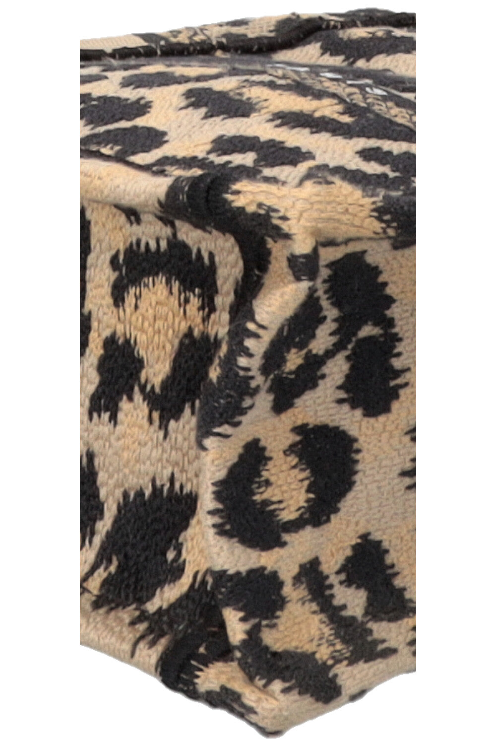 CHRISTIAN DIOR Cheetah Mini Mizza Vertical Book Tote Canvas