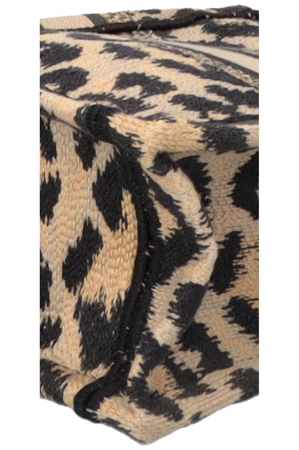 CHRISTIAN DIOR Cheetah Mini Mizza Vertical Book Tote Canvas