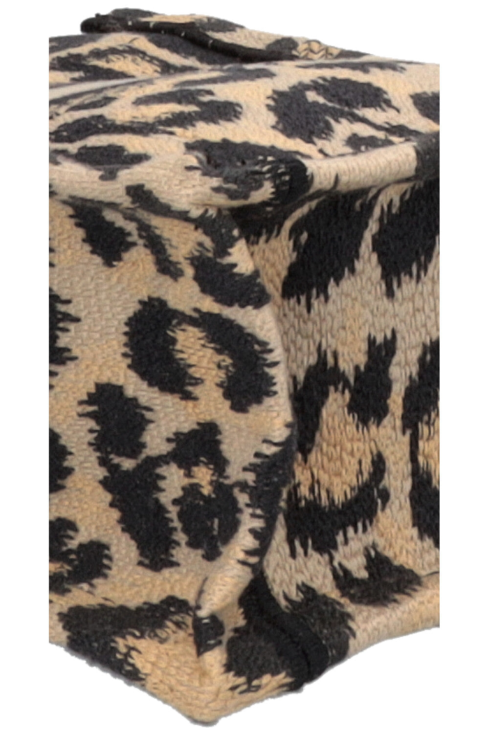 CHRISTIAN DIOR Cheetah Mini Mizza Vertical Book Tote Canvas