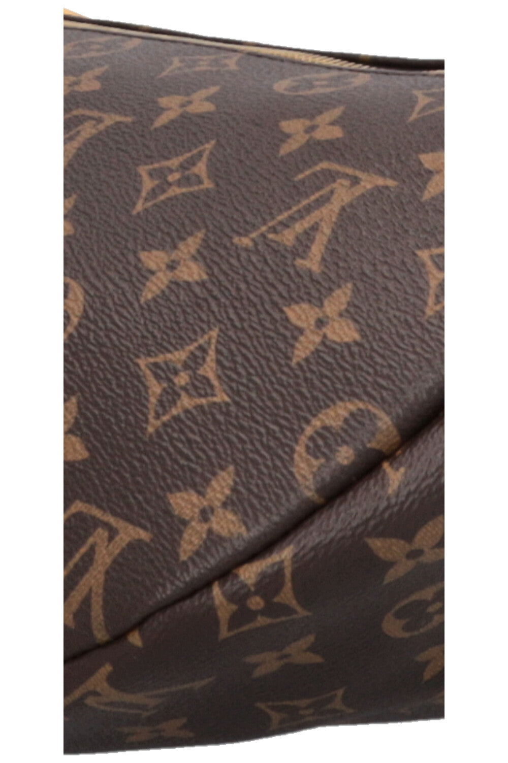 LOUIS VUITTON Bum Bag MNG Canvas