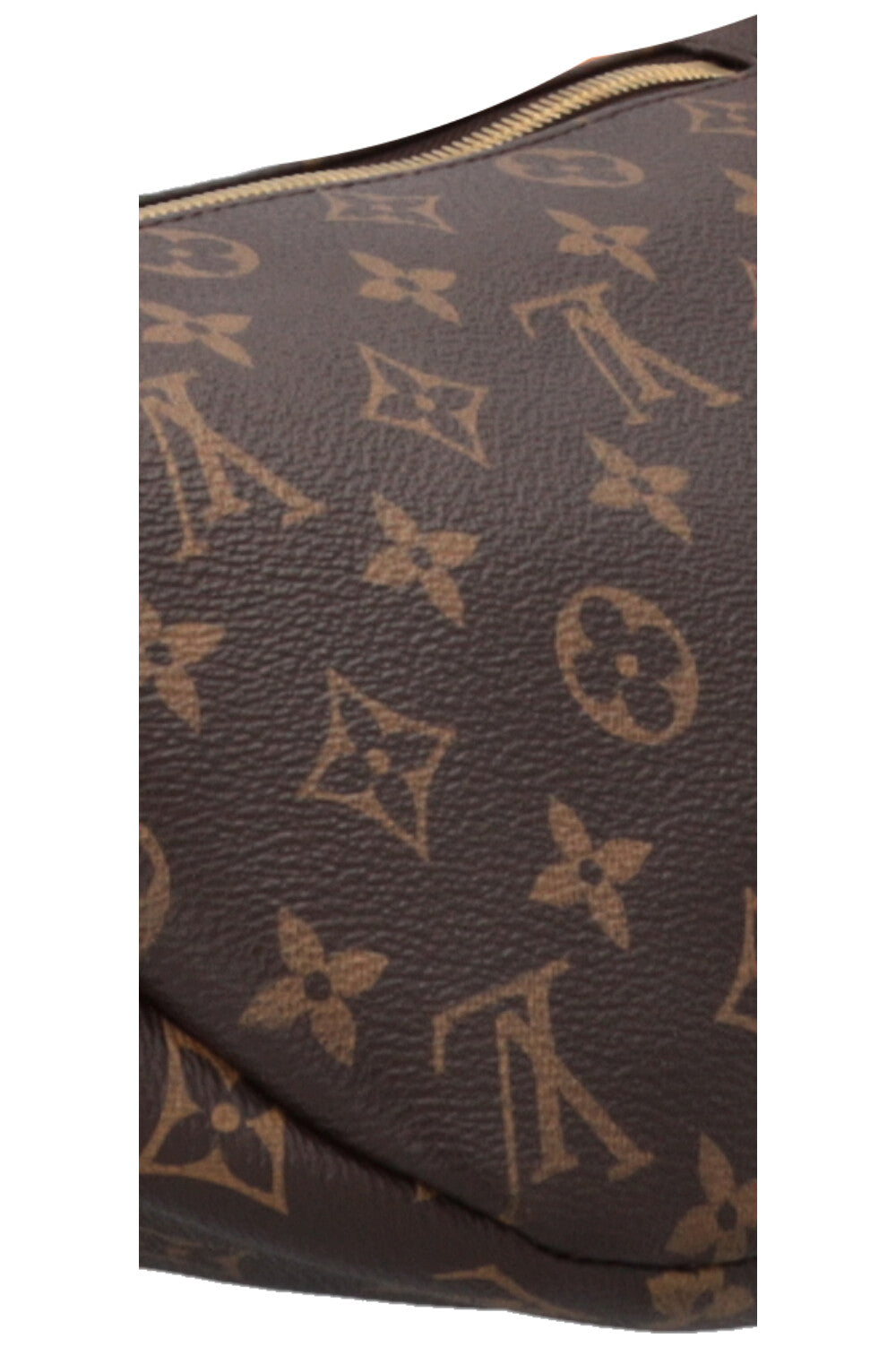 LOUIS VUITTON Bum Bag MNG Canvas