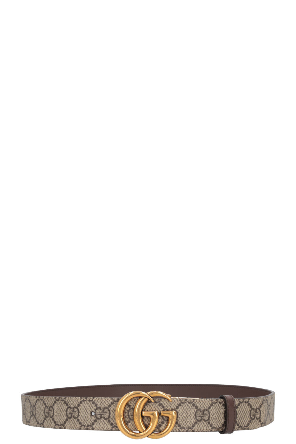 GUCCI Reversible Belt Supreme Brown