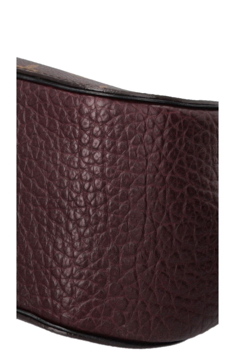 LOUIS VUITTON Le Majestueux Exotic Shoulder Bag MNG