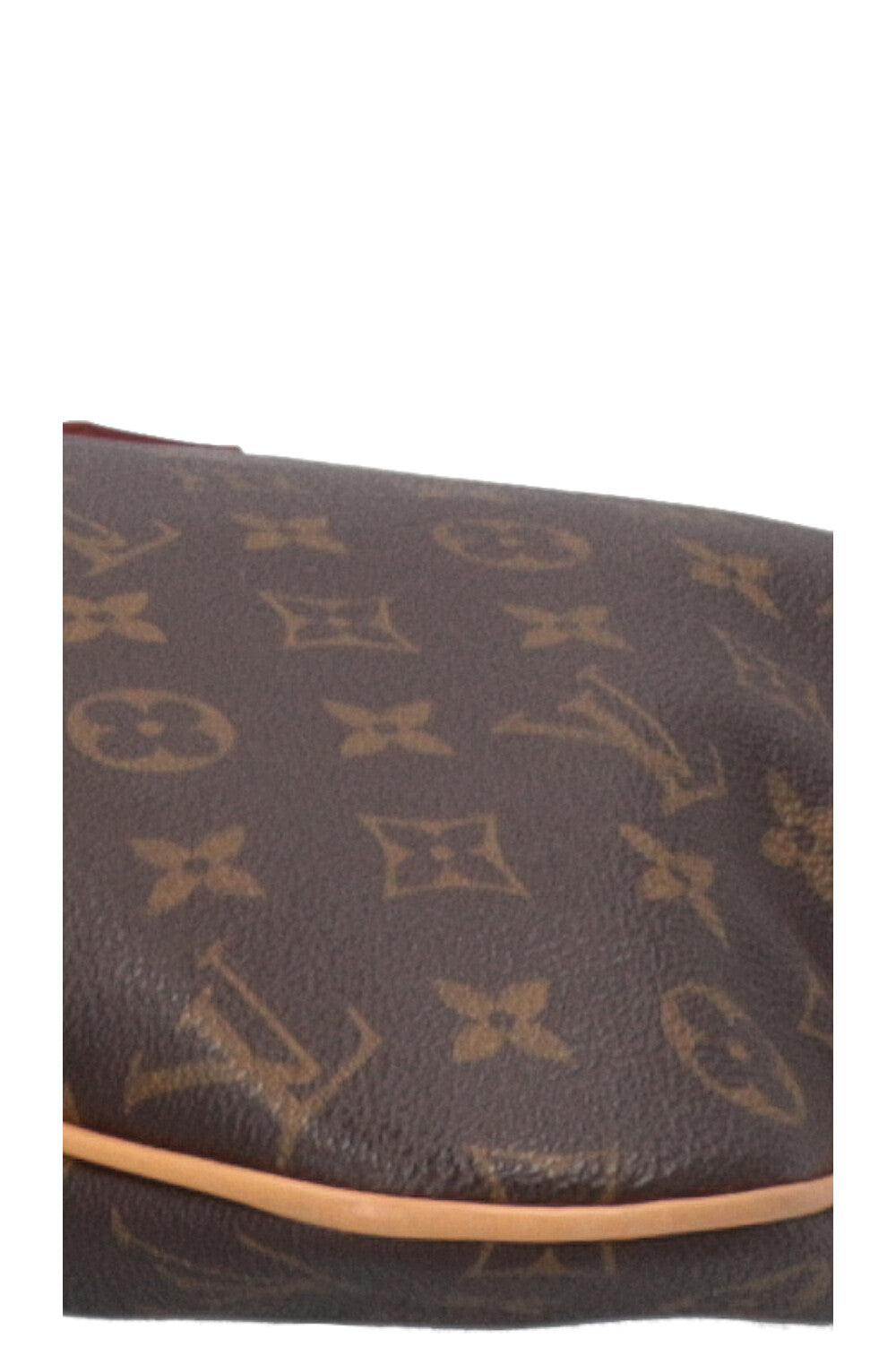 LOUIS VUITTON Pochette Bosphore MNG Canvas