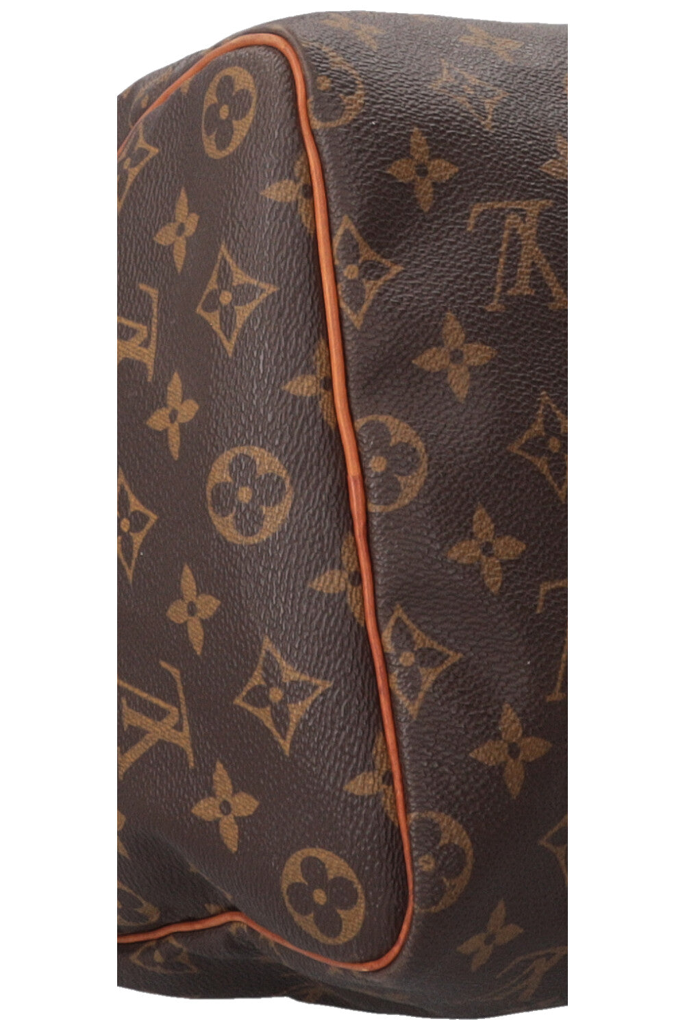 LOUIS VUITTON Speedy 40 MNG Toile