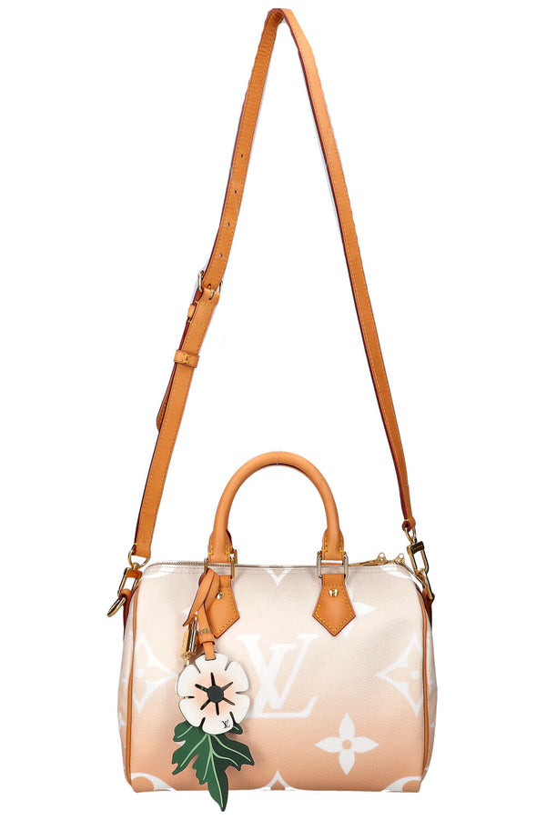LOUIS VUITTON Au bord de la piscine Speedy 25