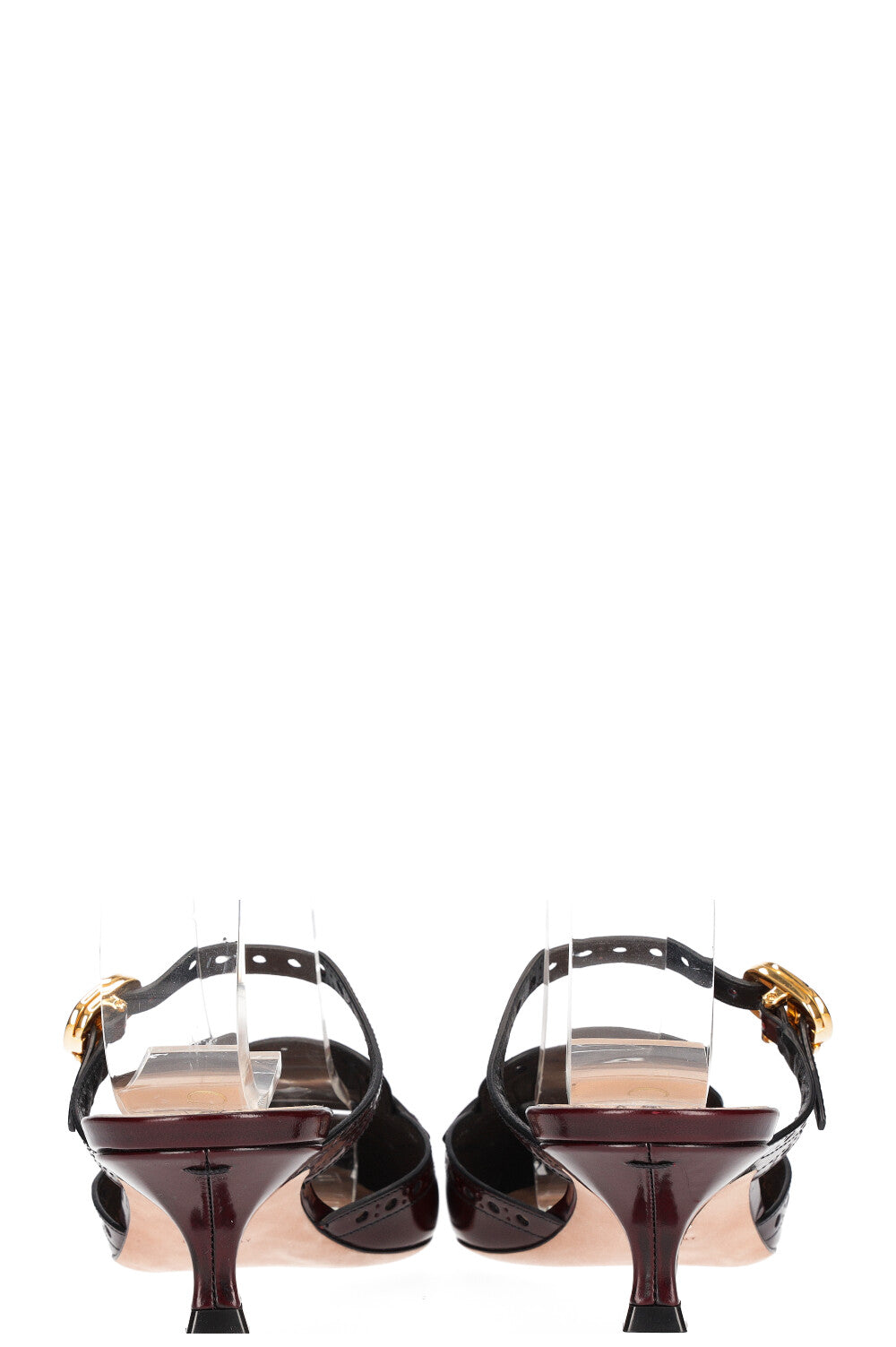 Dior kitten best sale
