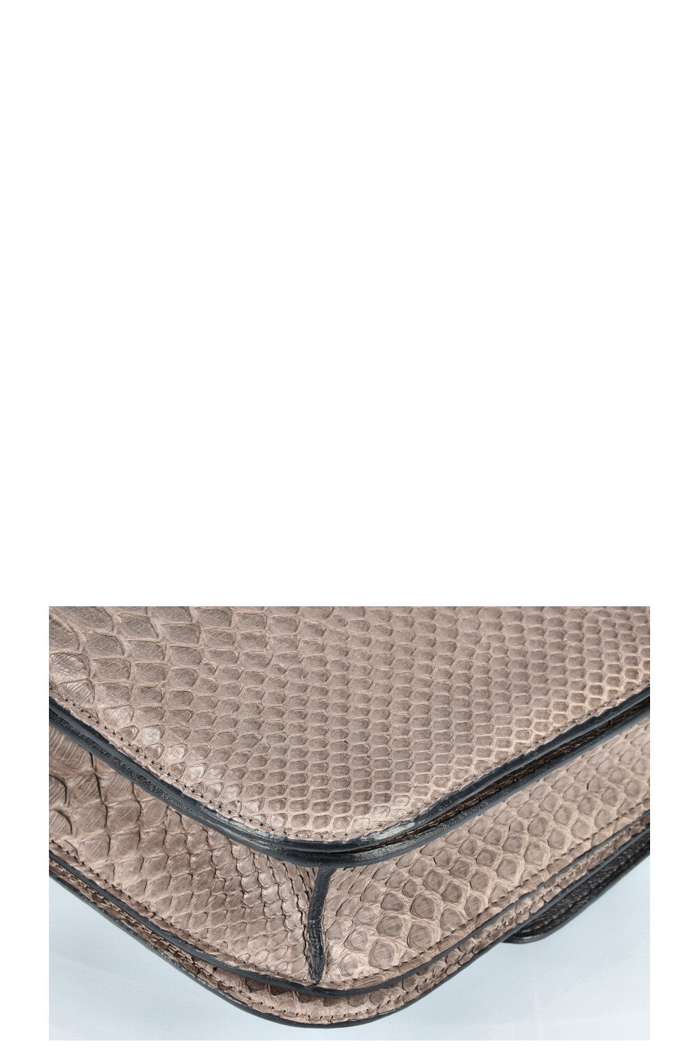 CÉLINE Classic Bag Python