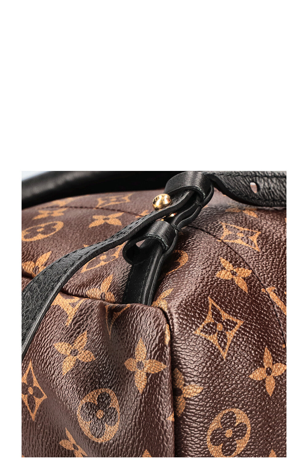 LOUIS VUITTON Palms Springs Backpack Reverse PM