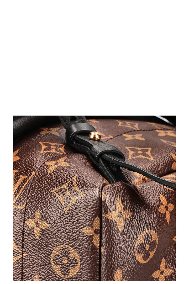 LOUIS VUITTON Palms Springs Backpack Reverse PM