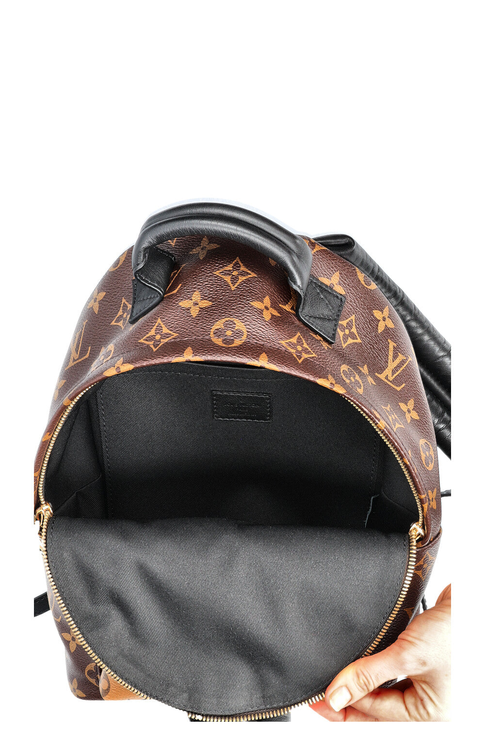 LOUIS VUITTON Palms Springs Backpack Reverse PM