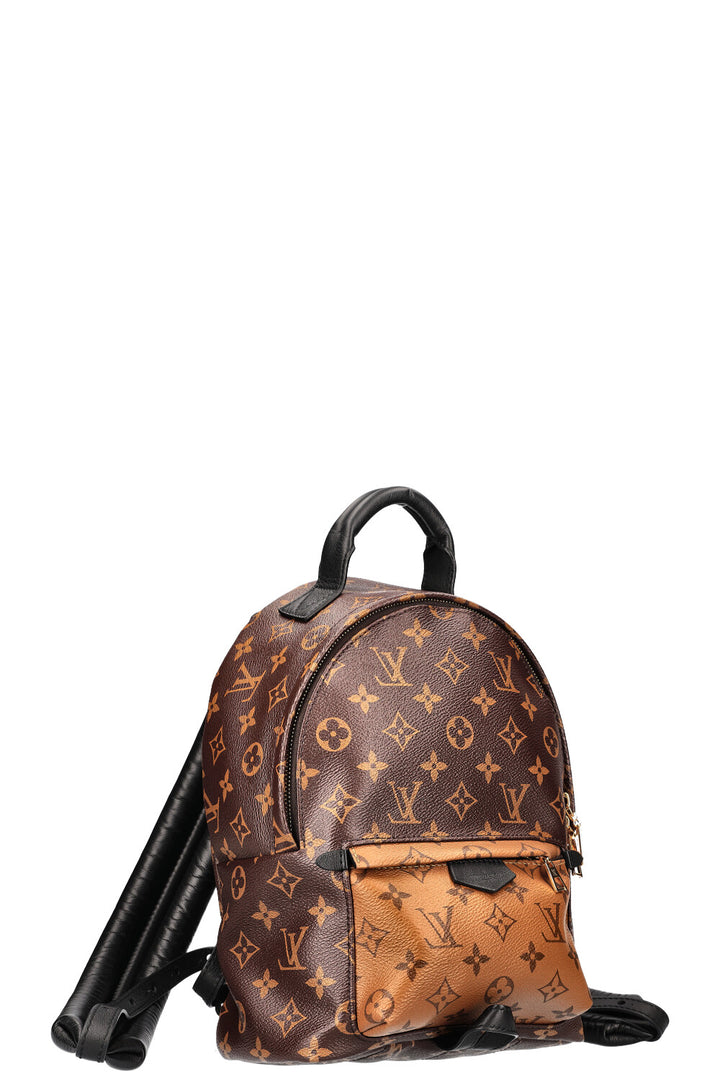 LOUIS VUITTON Palms Springs Backpack Reverse PM