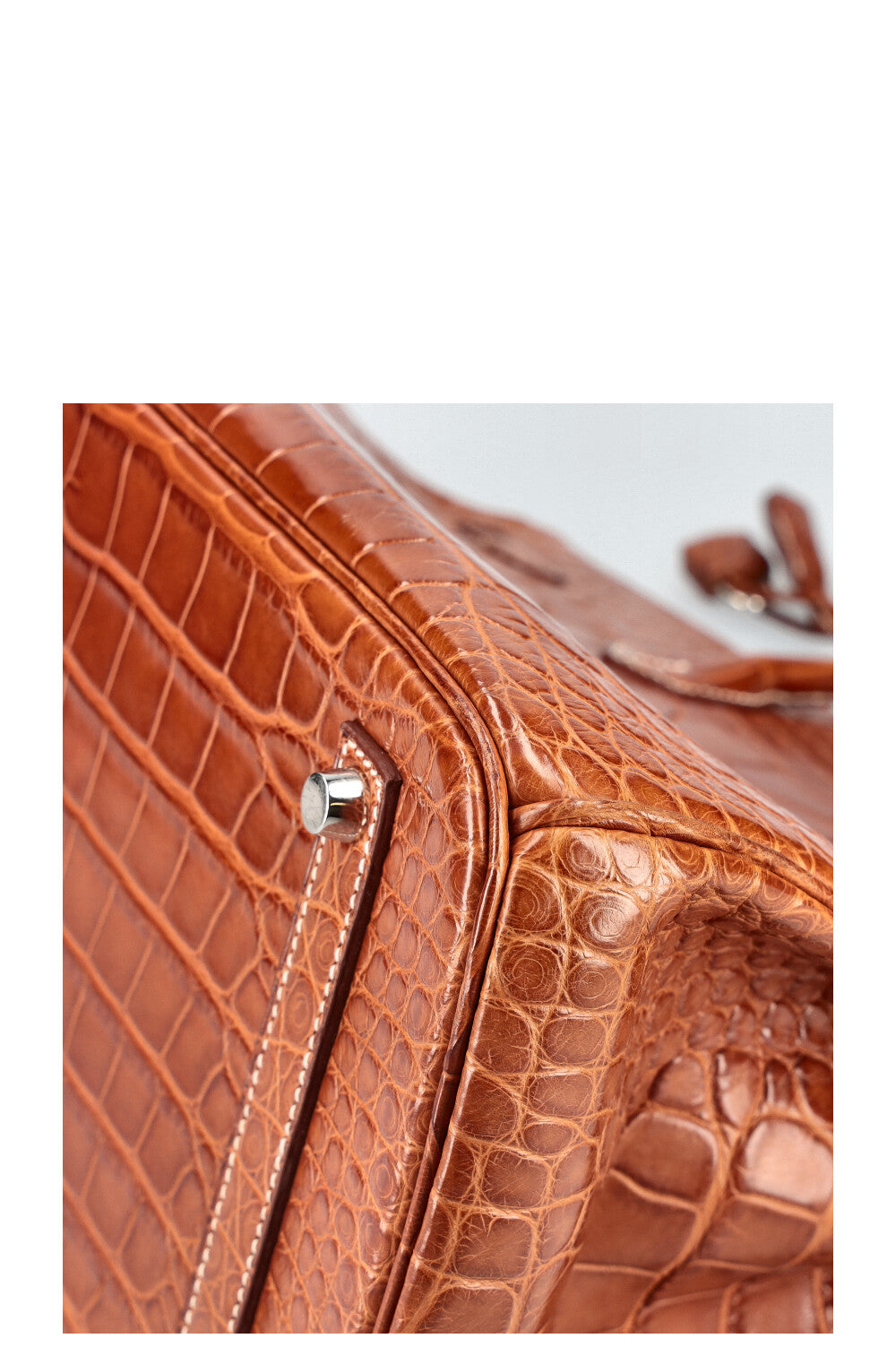 HERMÈS Birkin 35 Alligator Mississippiensis Mat Fauve