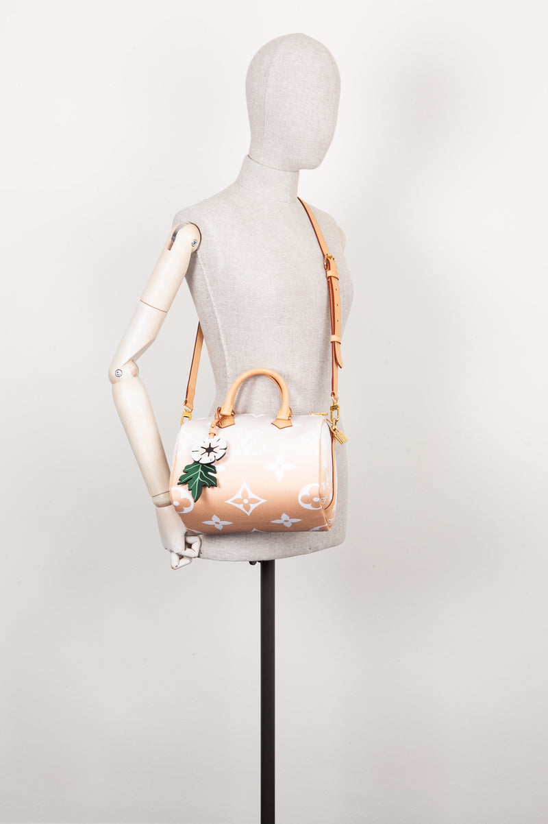 LOUIS VUITTON Speedy 25 By The Pool Rose