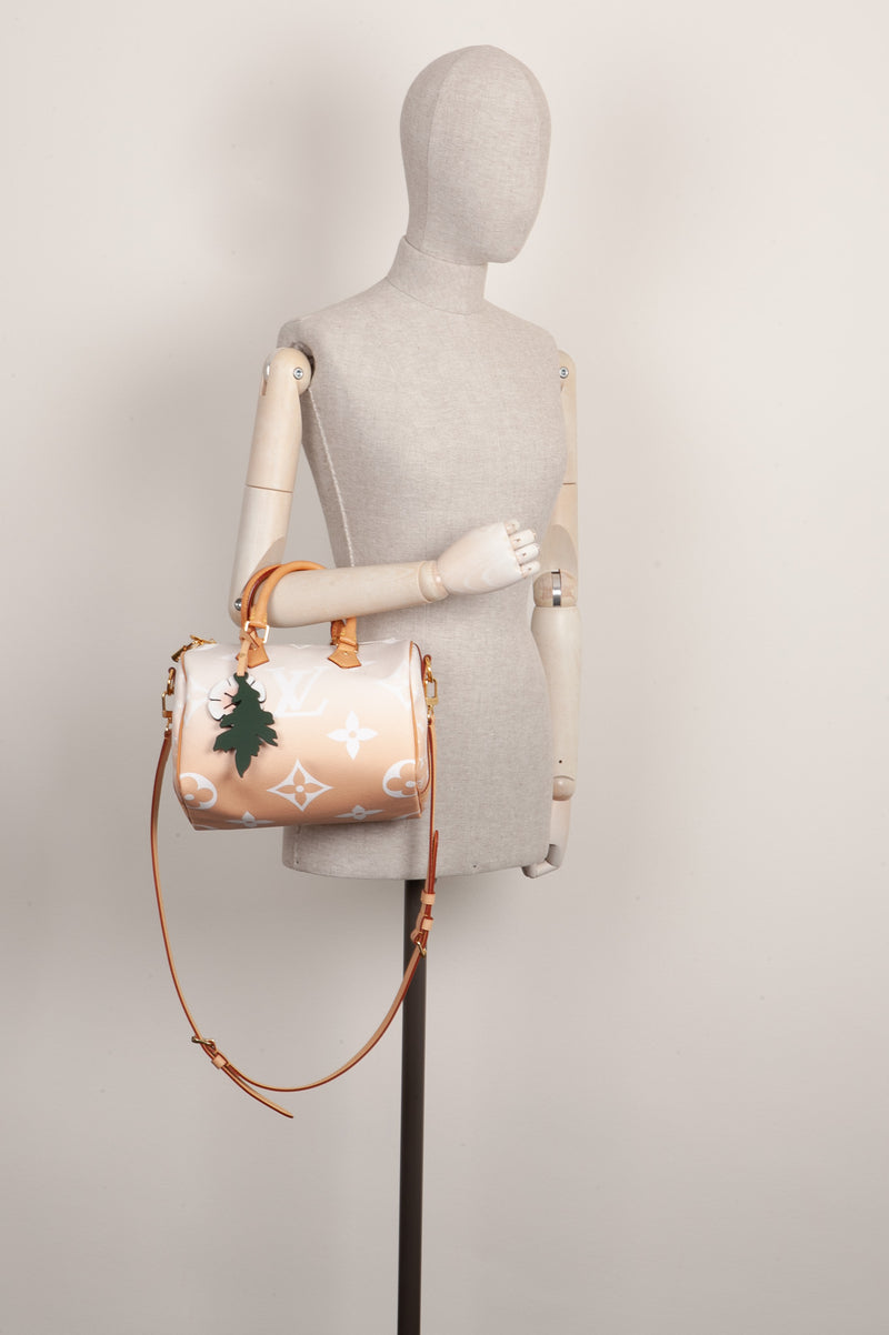 LOUIS VUITTON Speedy 25 By The Pool