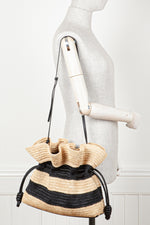 LOEWE Paula's Ibiza Flamenco Bag Raffia