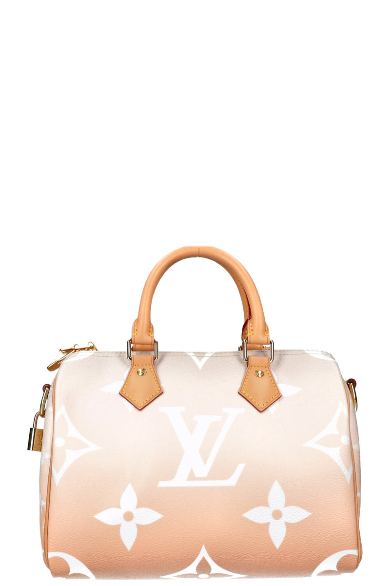 LOUIS VUITTON Speedy 25 By The Pool Rose